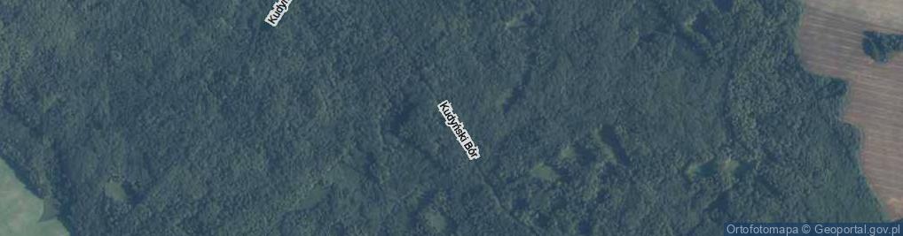 Zdjęcie satelitarne Kudyński Bór ul.